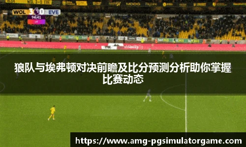 狼队与埃弗顿对决前瞻及比分预测分析助你掌握比赛动态
