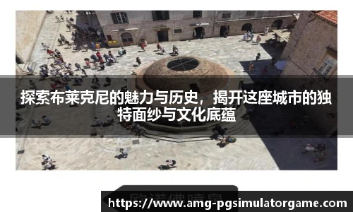 探索布莱克尼的魅力与历史,揭开这座城市的独特面纱与文化底蕴